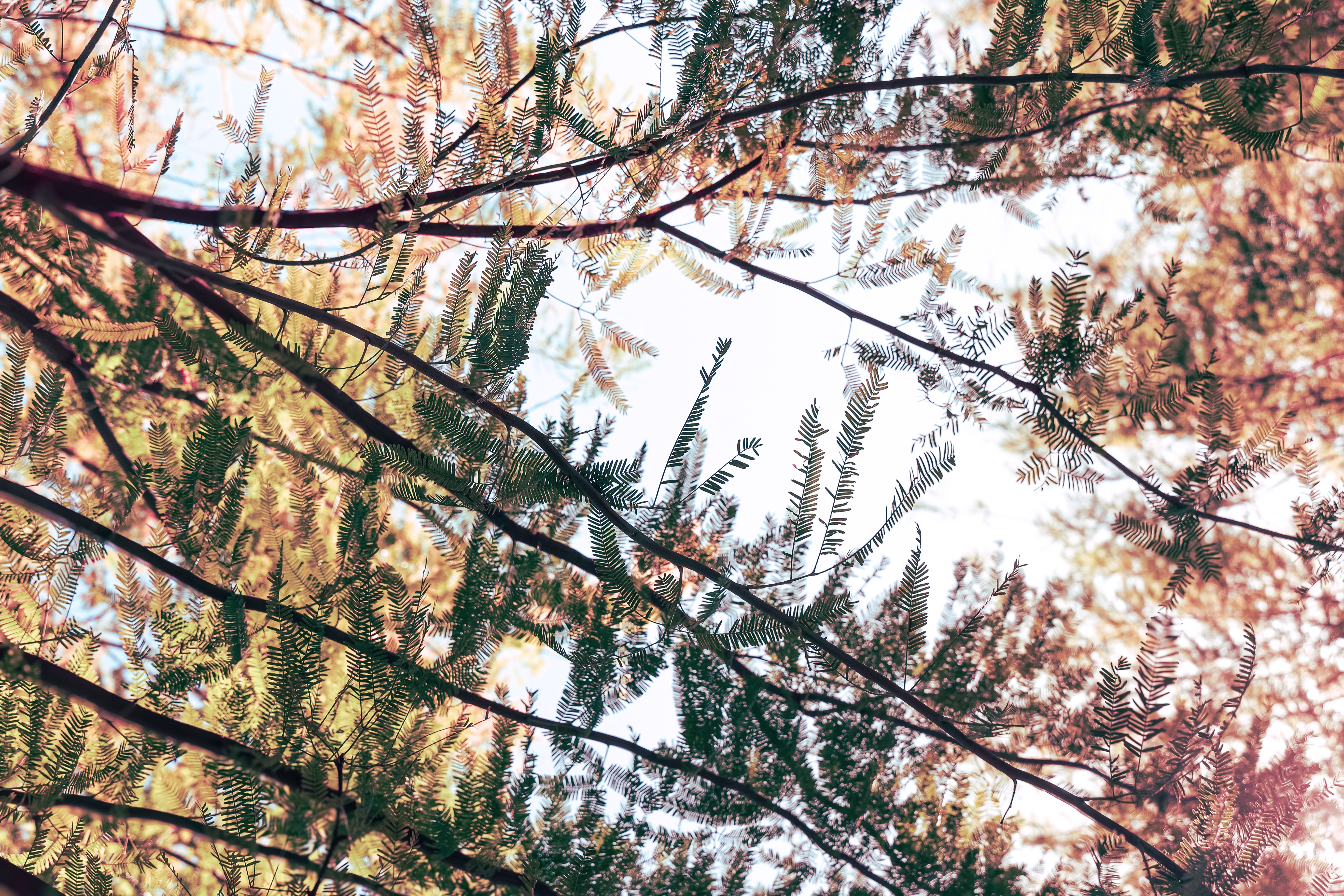 Featured project: Artistic Photography