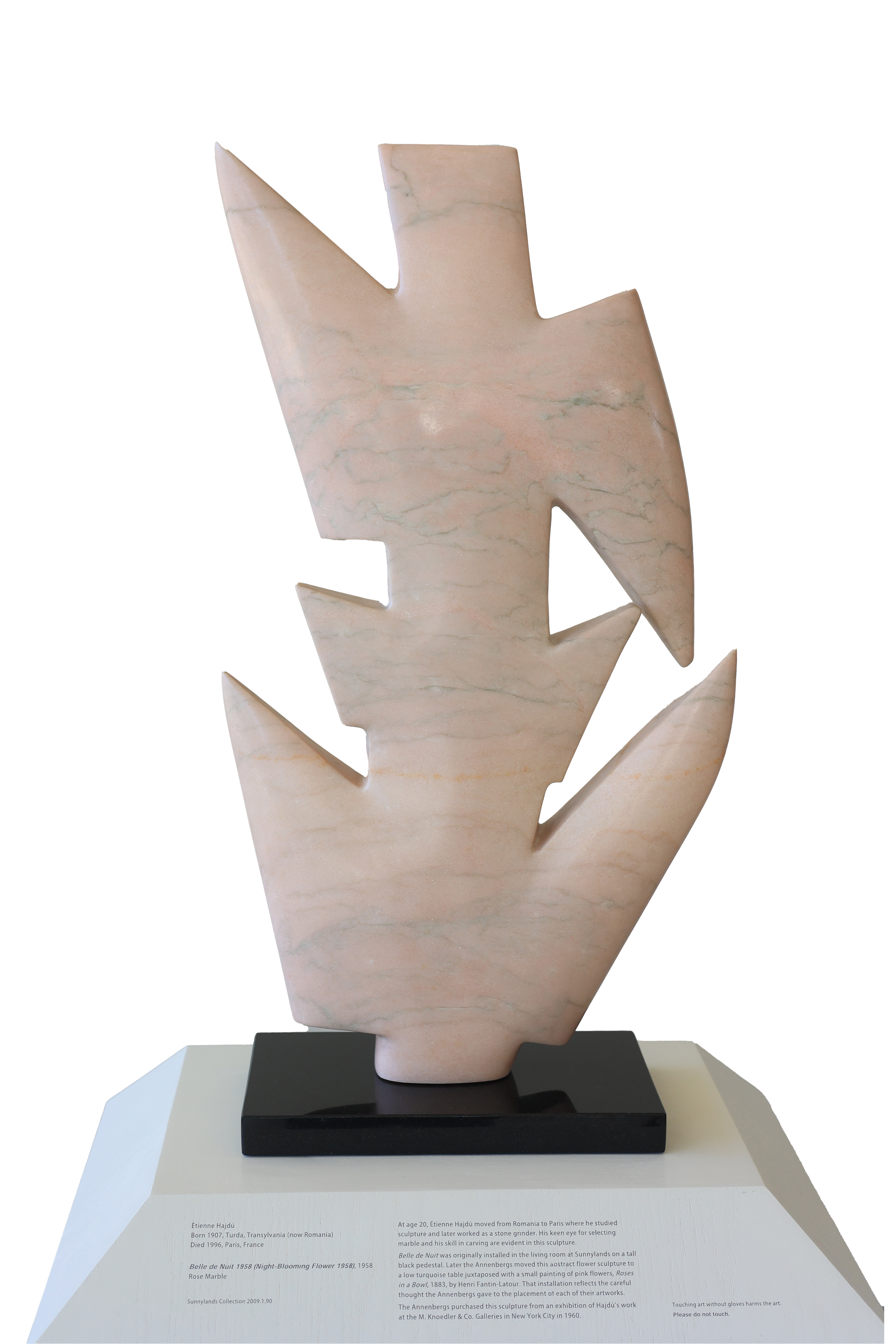 Featured project: Conceptual Photography